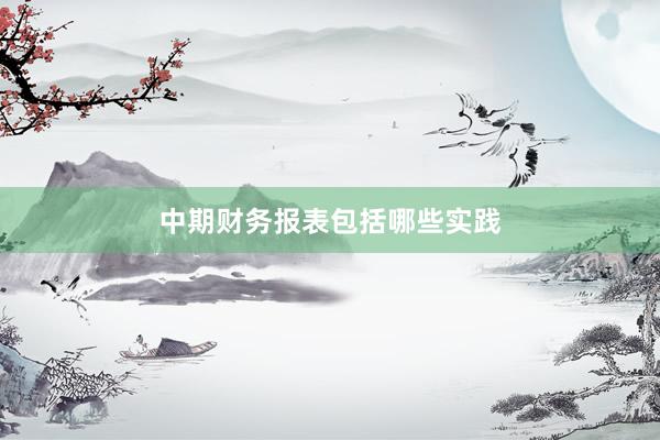 中期财务报表包括哪些实践
