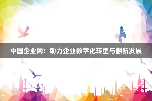 中国企业网：助力企业数字化转型与翻新发展