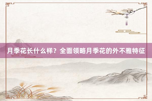 月季花长什么样？全面领略月季花的外不雅特征